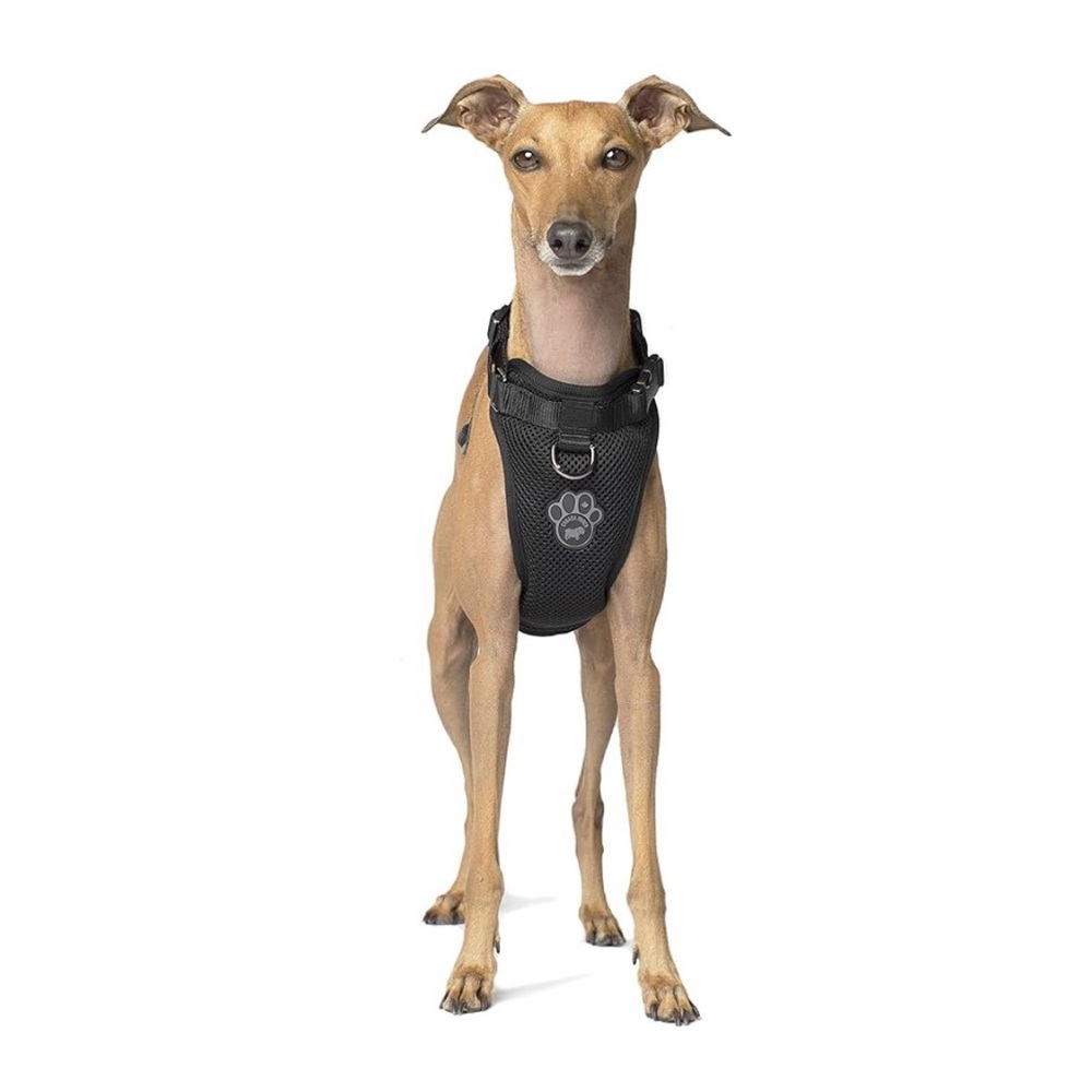 Canadian Pooch Everything Harness Black Dog Harness Size small